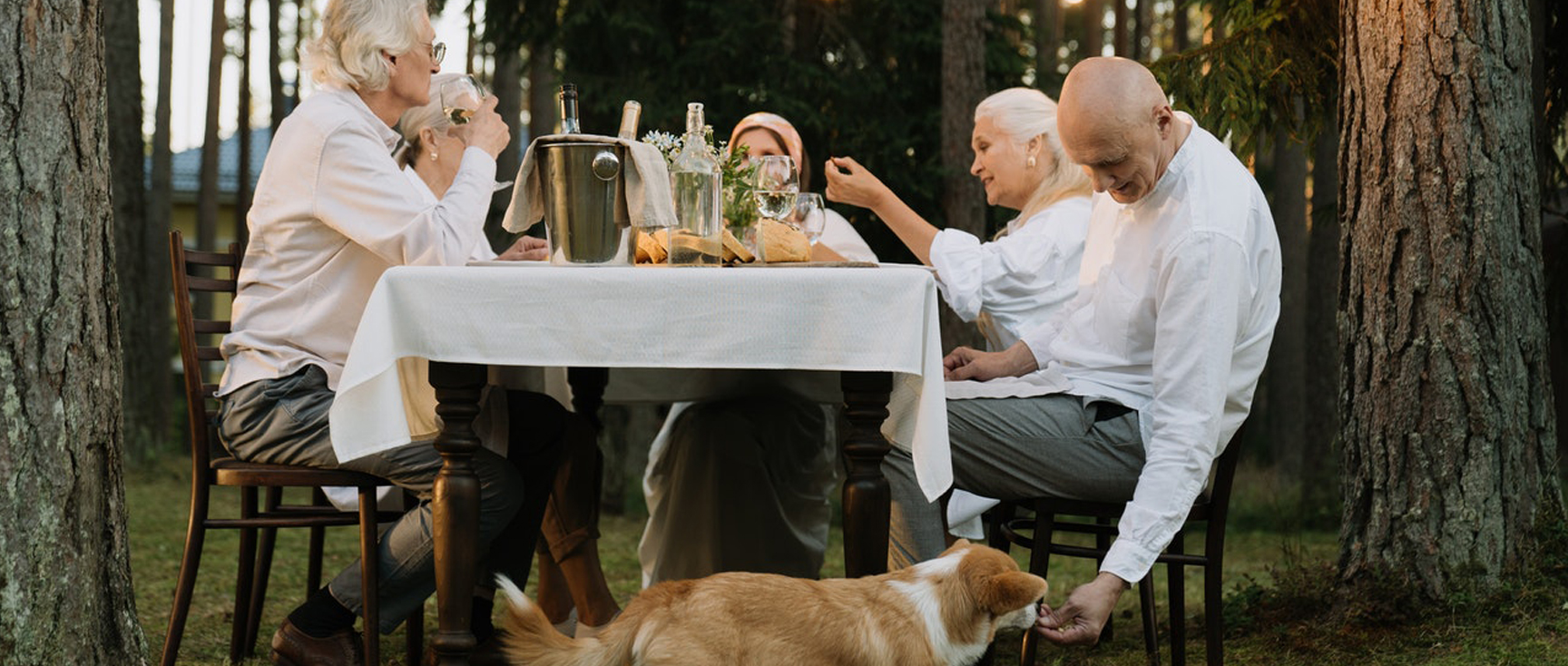 banner-galeria-diversa